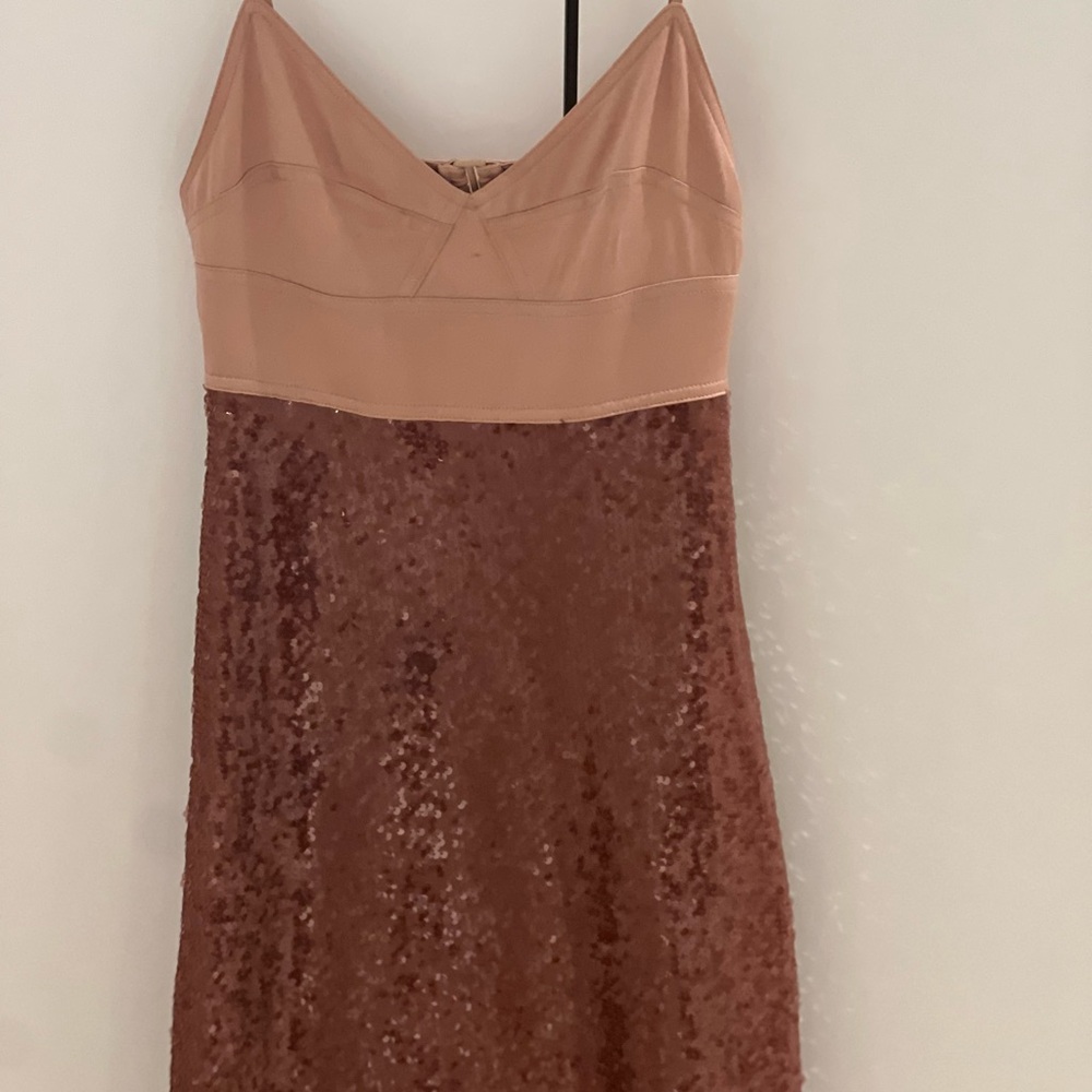 ALC Sequin Embellished Dress
